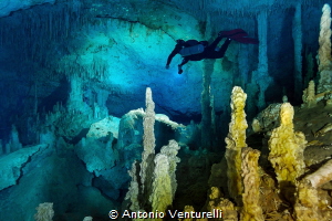 freshwater rocks_Zacil Ha_2021
(Canon14mm,t1/40,f/5.6,is... by Antonio Venturelli 